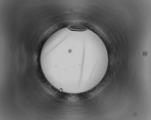X0000101660258200808071028