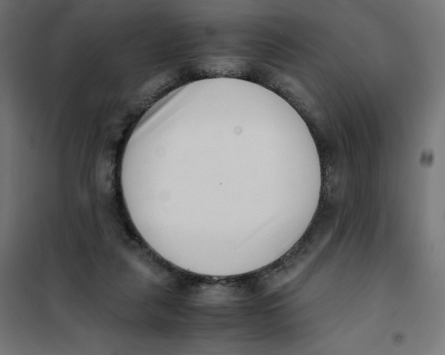 X0000101660259200808071028