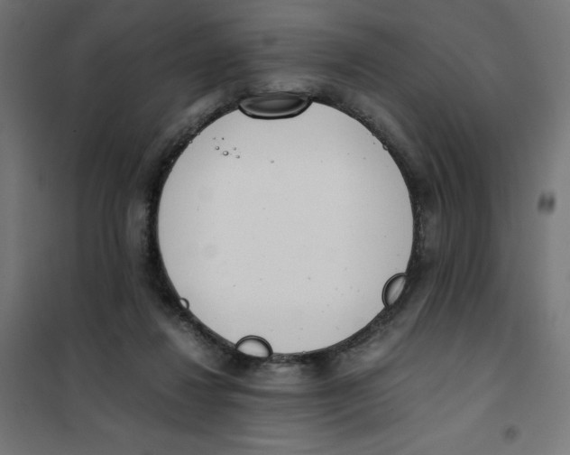 X0000101660260200808071028