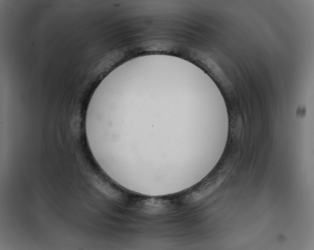 X0000101660261200808071028