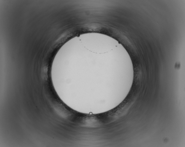 X0000101660262200808071028
