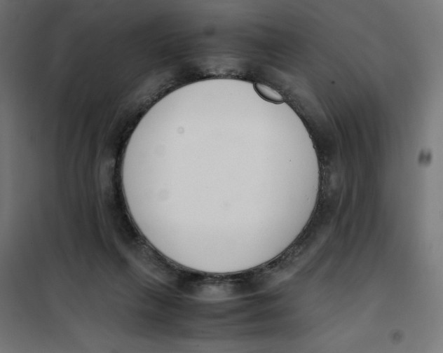 X0000101660263200808071028