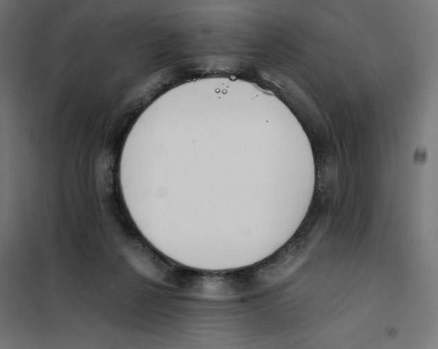 X0000101660264200808071028