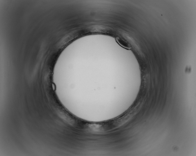 X0000101660265200808071028