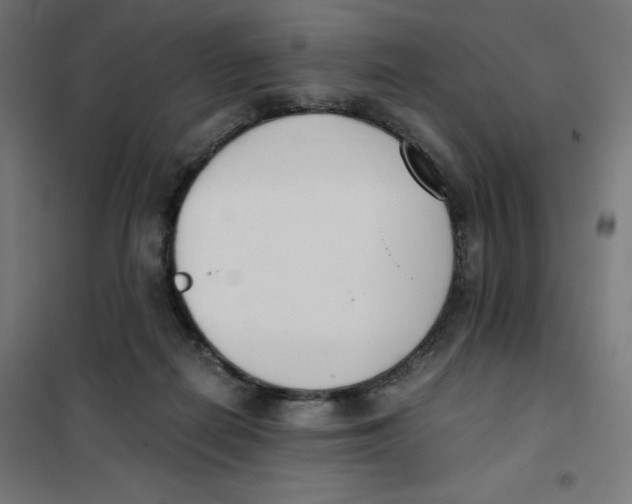 X0000101660266200808071028