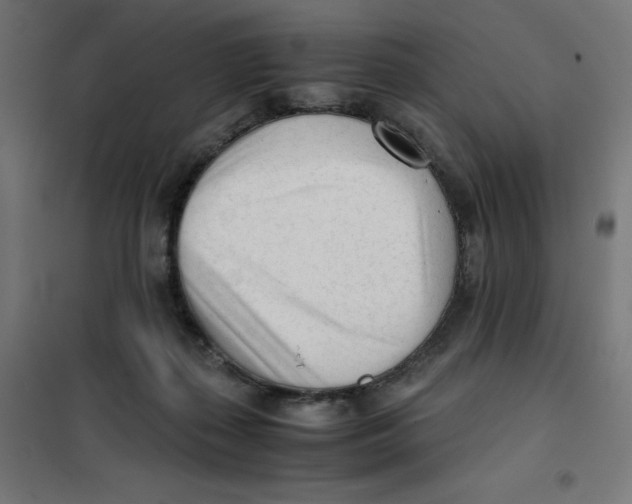 X0000101660267200808071028