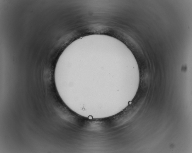 X0000101660268200808071028