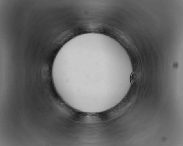 X0000101660270200808071028