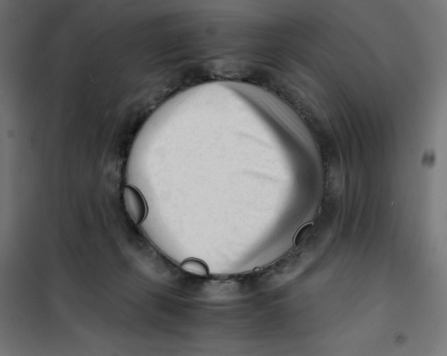 X0000101660271200808071028