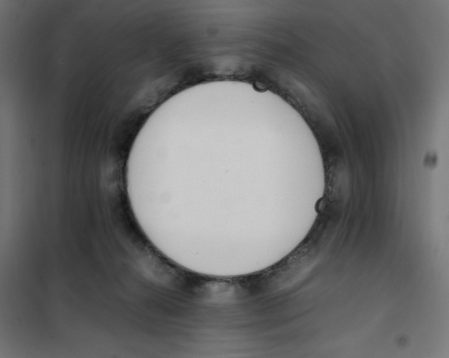 X0000101660272200808071028