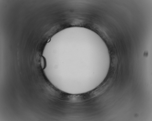 X0000101660273200808071028