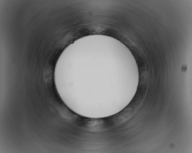 X0000101660274200808071028