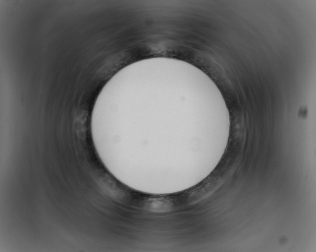 X0000101660275200808071028