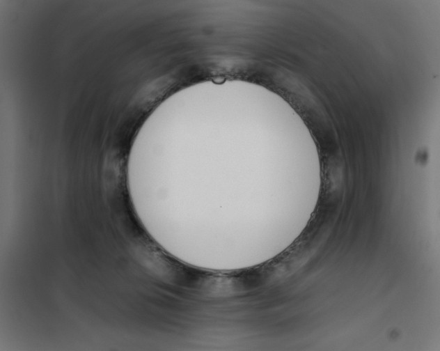 X0000101660276200808071028