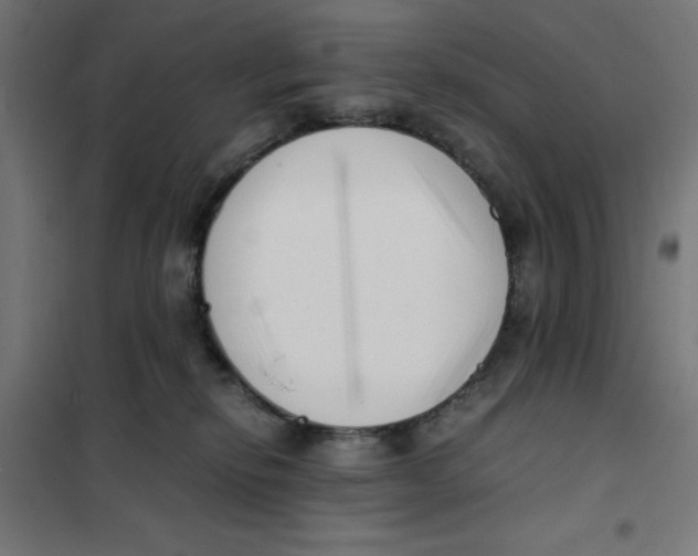 X0000101660278200808071028