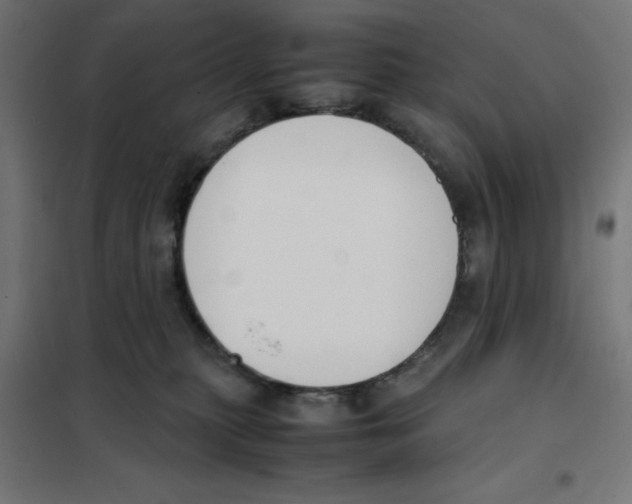 X0000101660279200808071028
