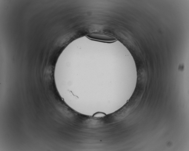 X0000101660280200808071028