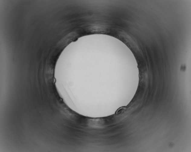 X0000101660281200808071028