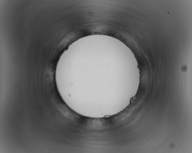 X0000101660282200808071028