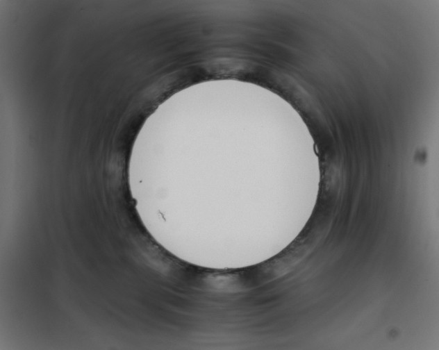 X0000101660283200808071028