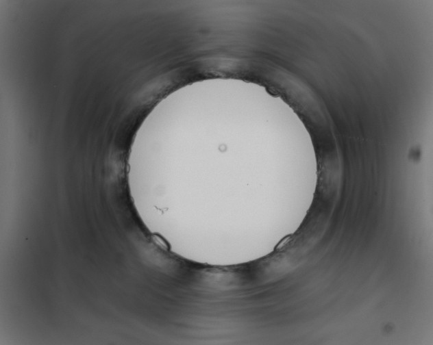 X0000101660284200808071028