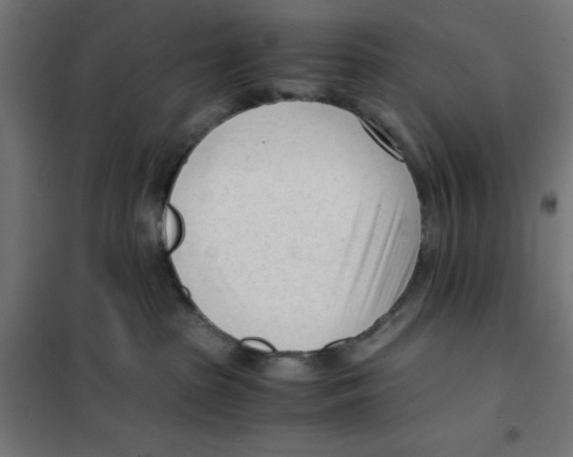 X0000101660285200808071028