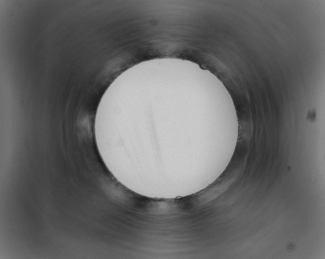 X0000101660286200808071028