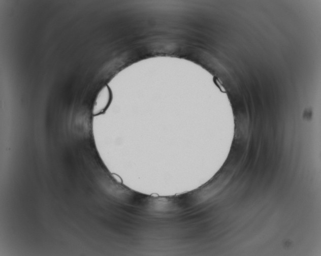 X0000101660287200808071028