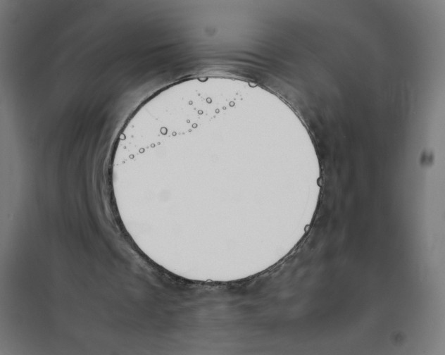 X0000101660289200808071027