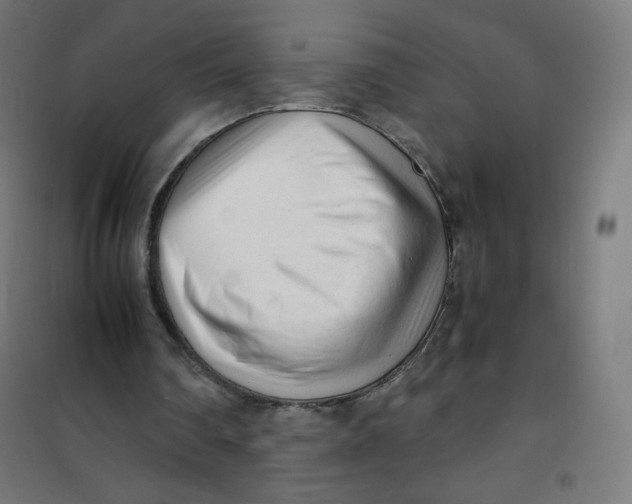 X0000101660290200808071027