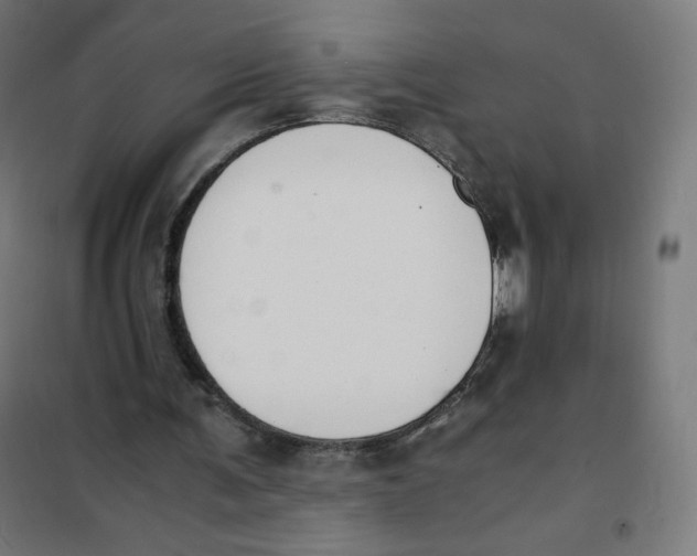 X0000101660291200808071027