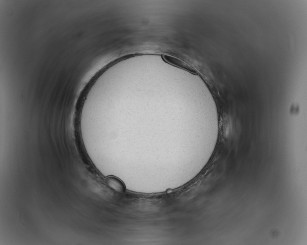 X0000101660292200808071027
