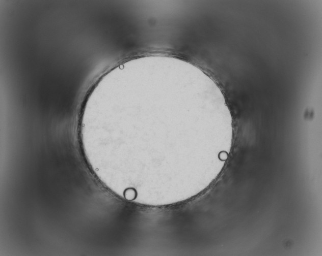 X0000101660293200808071027