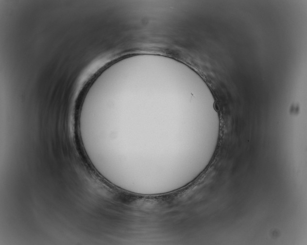 X0000101660294200808071027