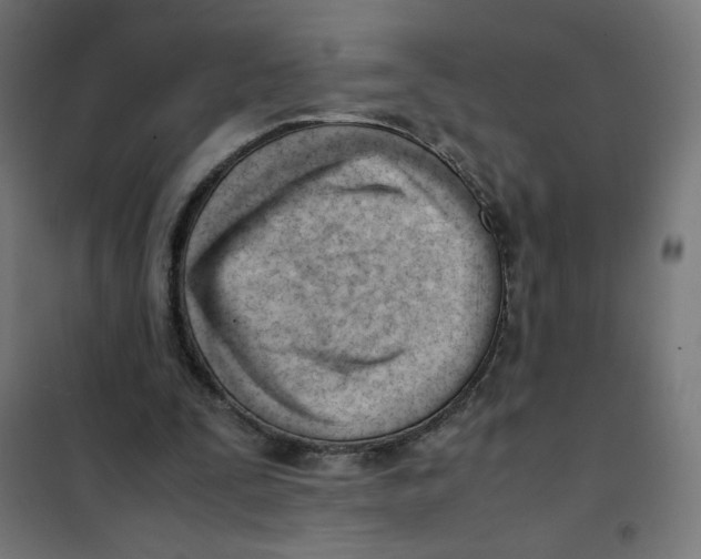 X0000101660295200808071027