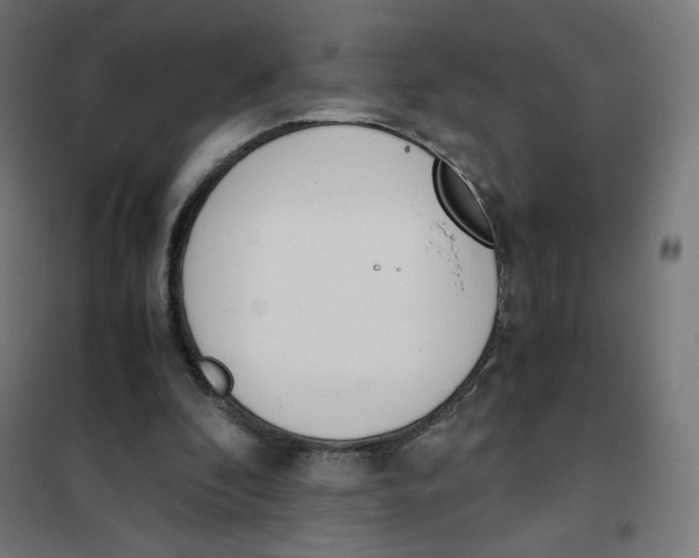 X0000101660296200808071027