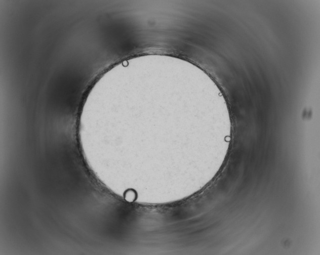X0000101660297200808071027