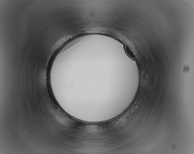 X0000101660298200808071027