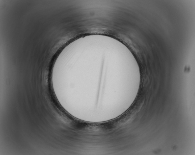 X0000101660299200808071027