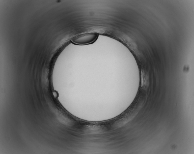 X0000101660300200808071027