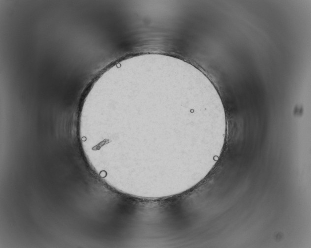 X0000101660301200808071027