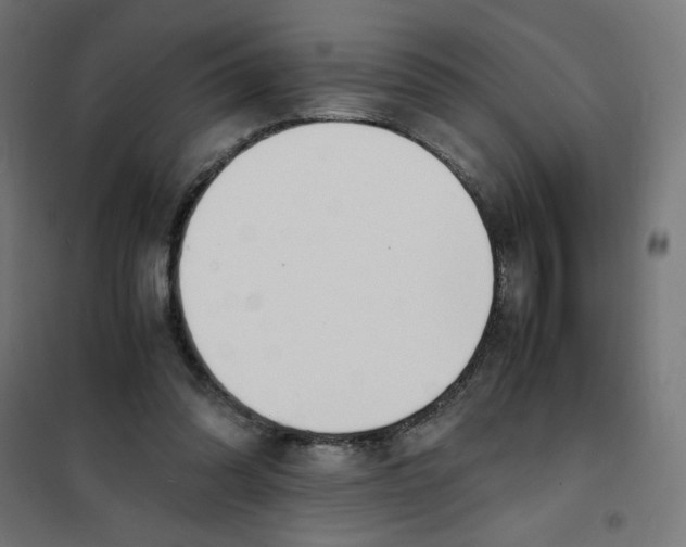 X0000101660302200808071027