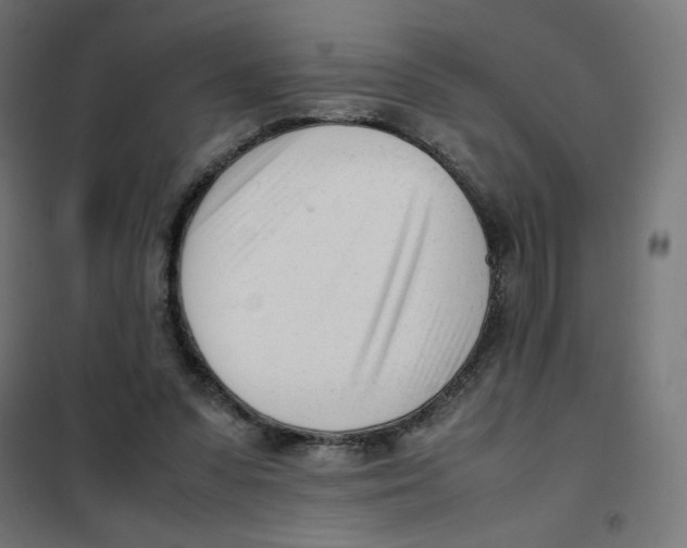 X0000101660303200808071027
