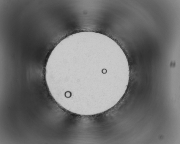 X0000101660305200808071027