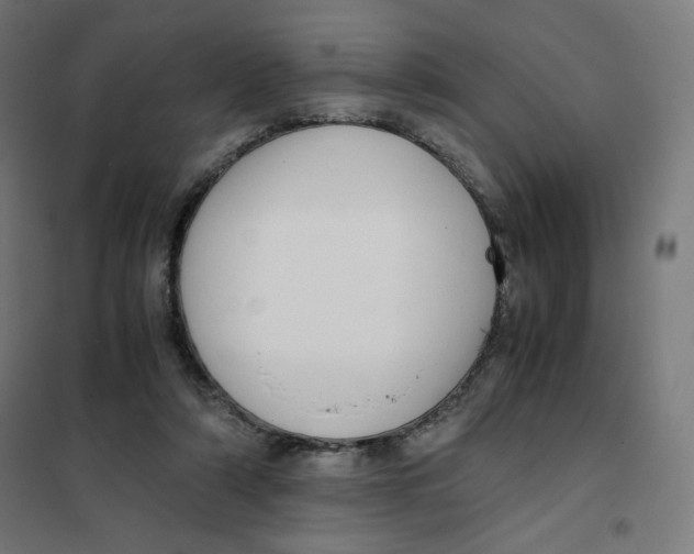 X0000101660306200808071027