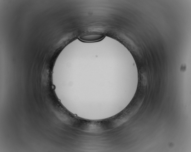 X0000101660308200808071027