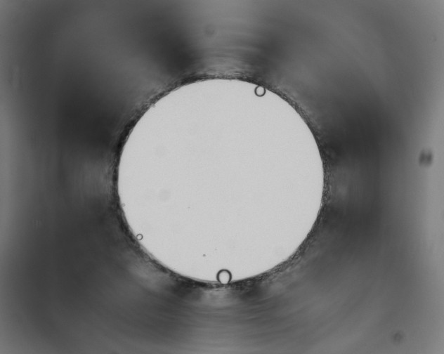 X0000101660309200808071027