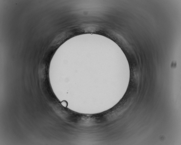 X0000101660311200808071027