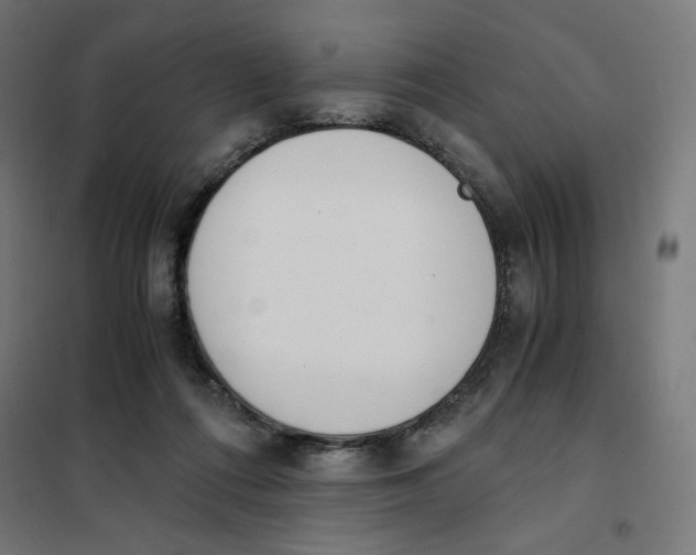 X0000101660312200808071027