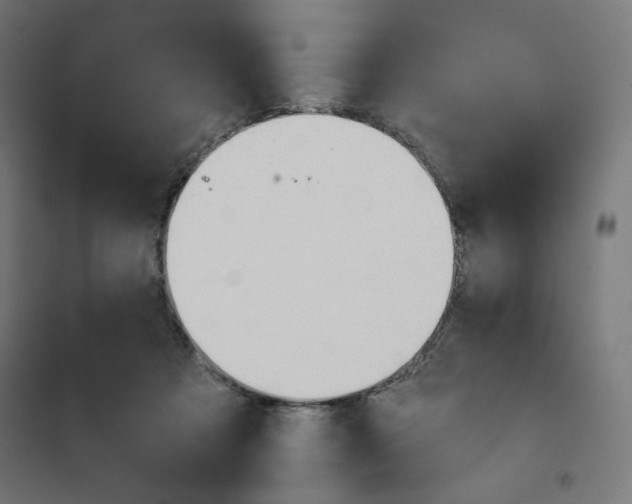 X0000101660313200808071027